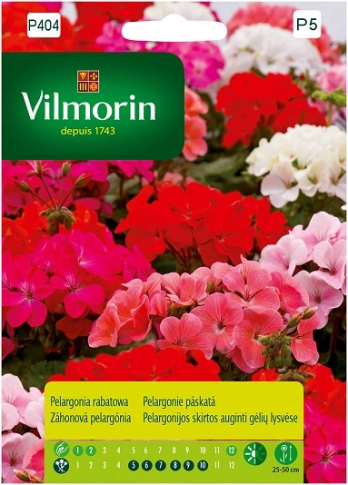 Vilmorin pelargonia-rabatowa-rozowa nasiona rajogrodnika
